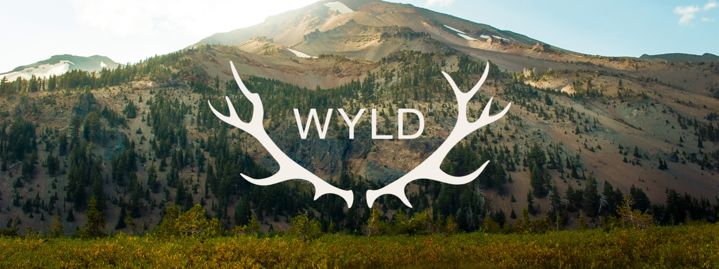 WYLD header